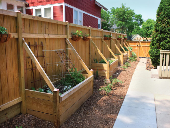Container Vegetable Gardening 101